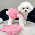 New Breathable Puppy Slip Dress Soft Lace Hem Cat Sleeveless Dress Comfortable Summer Pet Princess Dress for Small Dog Cat - Image 4