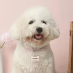 Engraved Dog Collar with Name & Phone Number Adjustable Custom Puppy Collar Pet ID Tag for Small Medium Large Dogs & Cats Collar - Image 3