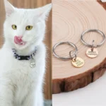 15mm Cat ID Tag - Small Custom Kitten Tag - Pet Name Tag with Phone Number - Teeny Tiny Pet ID Tag - Microchipped for Kittens