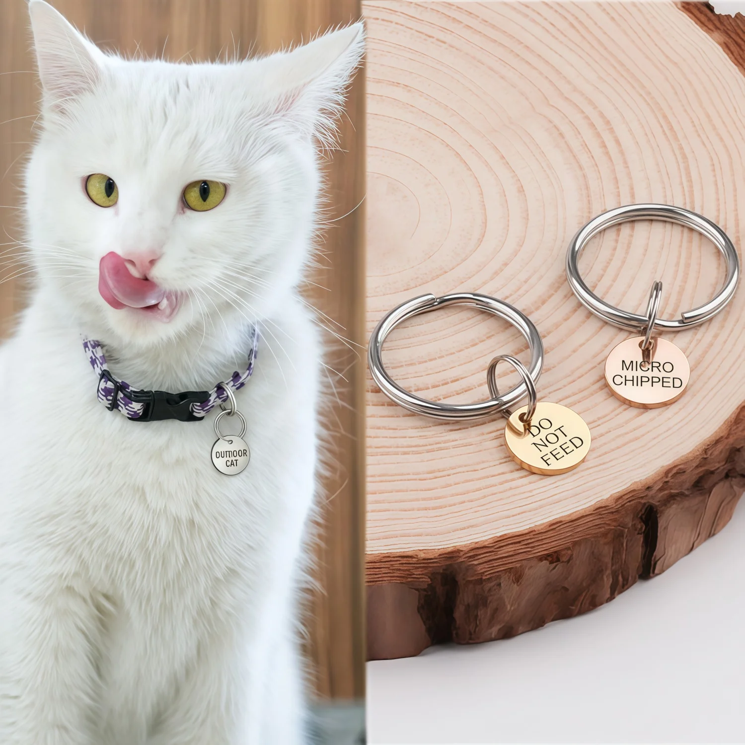 kf-Sb10e3c613bdb41069c5c7ff19b0bb8fau 15mm Cat ID Tag - Small Custom Kitten Tag - Pet Name Tag with Phone Number - Teeny Tiny Pet ID Tag - Microchipped for Kittens - Image 1