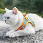 Cat Harness Reflective Pet Harnesses And Leashes Set Adjustable Pet Harness for Cats Small Dogs Pug Chihuahua Cat Accessories - Image 5