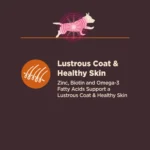 CORE Digestive Health Small Breed Adult Dry Dog Food, Wholesome Grain Kibble, Sensitive Stomach, Natural, High Protein, Chicken - Image 5