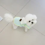 Pet summer cool vest cloud decoration clothes breathable cooling dog clothes - Image 6