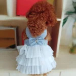Dog Summer Dress Cat Lace Skirt Pet Clothing Chihuahua Stripe Skirt Puppy Cat Princess Apparel Cute Puppy Clothe Dog Accessories - Image 3