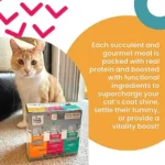 Feed Meow Shine Wet Cat Food - Salmon + Tuna - Coat and Skin Support, Grain Free, Shreeded, No Fillers, 3oz Pack of 12 - Image 4