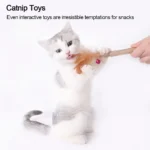 Cat Silvervine Cat Nip Chew Chew Cat Wall Silvervine Sticks Catnip Wellness Cat Food Cat Chew Sticks - Image 4