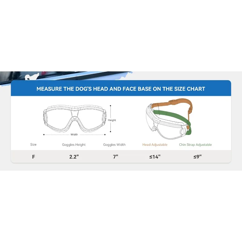 DOG GLASSES