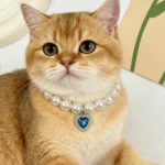 New Cute Exquisite Adjustable Cat Collar High Simulation Pearls Summer Pet Necklace Fashion Neck Decoration Supplies For Kitten