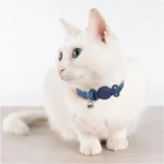 Airtag Dog Collar Holder for Apple Airtag Dog Tracker GPS Tracking Accessories Anti-Lost Silicone Case for Pet Cat Dog Collars - Image 5