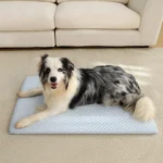 Summer Ice Silk Thick Breathable Dog Bed Cooling sponge Mat cat bed Non Slip Washable Pet Pad for Medium Large Cats Dogs - Image 5