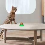 5/10Pcs Catnip Wall Ball Healthy Nutrition Cat Nip Treats Lickable Pet Catnip Cat Sugar Ball for Help Digestion - Image 6