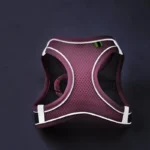 Cat Dog Harness Vest Chest Rope Set Reflective Breathable Adjustable Pet Harness for Small Medium Dogs Outdoor Walking - Image 3
