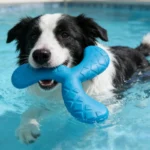 Dogs Eva Boomerang Flying Disc Play Tooth Chew Toy Indestructible Safe Large Dog Tough Toys Resistant Pet Supplies Water Toys - Image 5