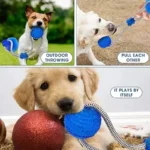 Rubber Suction Cup Dog Ball Pull Rope Interactive Chew Molar Toy Bite Resistant Teeth Clean Pet Play Training Relieve Boredom - Image 4