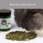 Premium Natural Catnip Leaves for Cat, Mint Treats, Pet, Kitten D, Selected for Fresh, 10g, 20g, 30g - Image 3
