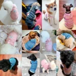 Summer Pet Vest for Small Medium Dog Cooling Clothes Chihuahua French Bulldog Breathable Clothes Puppy Casual Shirt Dog Costume - Image 4