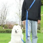 2.5cm Nylon Hand Free Dogs Leash Walking Training Lead Police Style Control Dog Lead Leash Small Dog Chain Safety Pet Leashes - Image 6