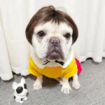 NONOR Pet Wigs Cosplay Props Funny Dogs Cats Cross-Dressing Hair Hat Costumes Head Accessories for Halloowen Christmas Supplies - Image 3