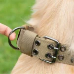 Adjustable Military Dog Collar Metal D-Ring and Buckle Working Dog Collar, Five-Level Adjustment for Medium and Large Dogs - Image 4