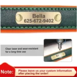 Personalized Leash Custom Dog Collar PU Leather Pet Dog Tag Collars Free Engraved Nameplate For Small Medium Large Dogs Pitbull - Image 3