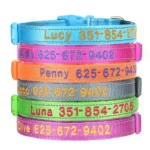 Embroidered Nylon Dog Collar Personalized Puppy Cat Collars Reflective Pet ID Collars DIY Phone Name ID For Small Large Dog Cat - Image 2