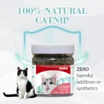 Catnip for Cats Natural Dried Cat Mint Leaves 20g Organic Catnip Treat Relieves Stress Encourages Play Kitten Toys - Image 4