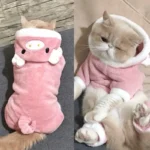 Pet Dog Clothes Soft Warm Fleece Dogs Jumpsuits Pet Clothing for Small Dogs Puppy Cats Hoodies Chihuahua Yorkshire Costume Coats - Image 4