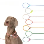 Dog Leash Slip Lead Rope Collar Strong Lightweight Braided Dog Training Leash No Pull Training Lead Leash for Medium & Small Dog - Image 2