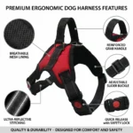 No Pull Dog Harness Adjustable Reflective Pet Vest with Handle Breathable Escape-Proof Dog Harness for Small Medium Large Dogs - Image 3
