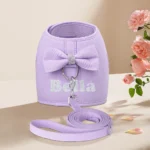 Personalized Dog Harness and Leash Set Free Print Name Pet Vest Harness Lead with Cute Bowtie for Small Medium Dogs Cats Pug - Image 2