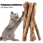 5-50pcs Catnip Stick Pet Cat Molar Toys Natural Wood Polygonum Sticks Cleaning Teeth Relieve Boredom Snacks Chews Toys - Image 2