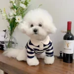 Summer Polo Shirt for Dogs Puppy Clothes Bichon Frise Chihuahua Stripe Dog Sweatshirt Dog Cooling Vest for Small and Medium Dogs