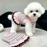 New Cute Style Summer Dog Dress Soft Thin Rainbow Stripes Lace Dog Dresses Breathable Teddy Dog Skirt for Small Dogs