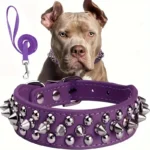 Spiked Dog Collar And Leash Set, Rivet Leather Dog Collar Adjustable Dog Collar For Outdoor Walking - Image 5