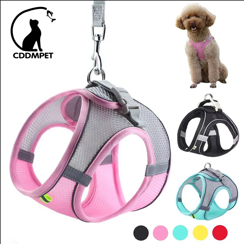 kf-Sbde85bb2d3a34f1b90ca9729d81afd16q Puppy Cat Vest Harness With Leash Breathable Mesh Pet Chest Straps For Chihuahua York Harnesses Reflective Bulldog Walking Leash - Image 1