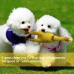 Squeaky Screaming Chicken Toy Squeeze Shrilling Decompression Pet Dog Funny Vent Toy - Image 2