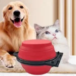 New 2 in 1 Collapsible Dog Travel Bowl Double Bowls Folding Food Water Bowl Portable Hangable Dog Feeder for Outdoor Dog Product - Image 3