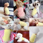 Fashion Dog Vest Suspender Dog Vest Chihuahua Bichon Breathable Thin Shirt Puppy Cat Casual Shirt Summer Pet Costume - Image 2