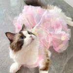 Dog Cat spring princess Dress Lace Skirt Pet Clothing Stripe Skirt Puppy Princess Apparel Cute Puppy Clothes Pet cat clothes - Image 4