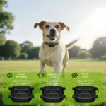 YHLC Automatic Anti Barking Dog Collar, Rechargeable Bark Stopper, Stop Barkin, Electric Training Collar for Dog - Image 3