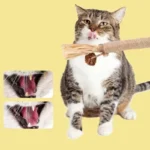 1/2PCS Cat Toys Made Of Wood Knotweed Teething Sticks Insect Galls Raffia Sisal Rope Teeth Cleaning Toys Cat Teasing Sticks - Image 5