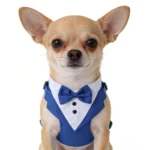 Dog Tuxedo for Wedding Outfit, Dog Suit and Tie Costumes for Birthday, Cosplay, Christmas Party, Pet Formal Wear with Bowtie - Image 9