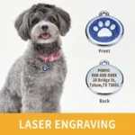 Pet ID Tags Free Engraving Pet Anti-lost Collar Pendant Personalized Puppy Name Tag Cat Paw Decoration Customized Product - Image 2