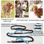 Double elastic reflective running leash portable retractable dog leash dog chain leash pet supplies wholesale - Image 4