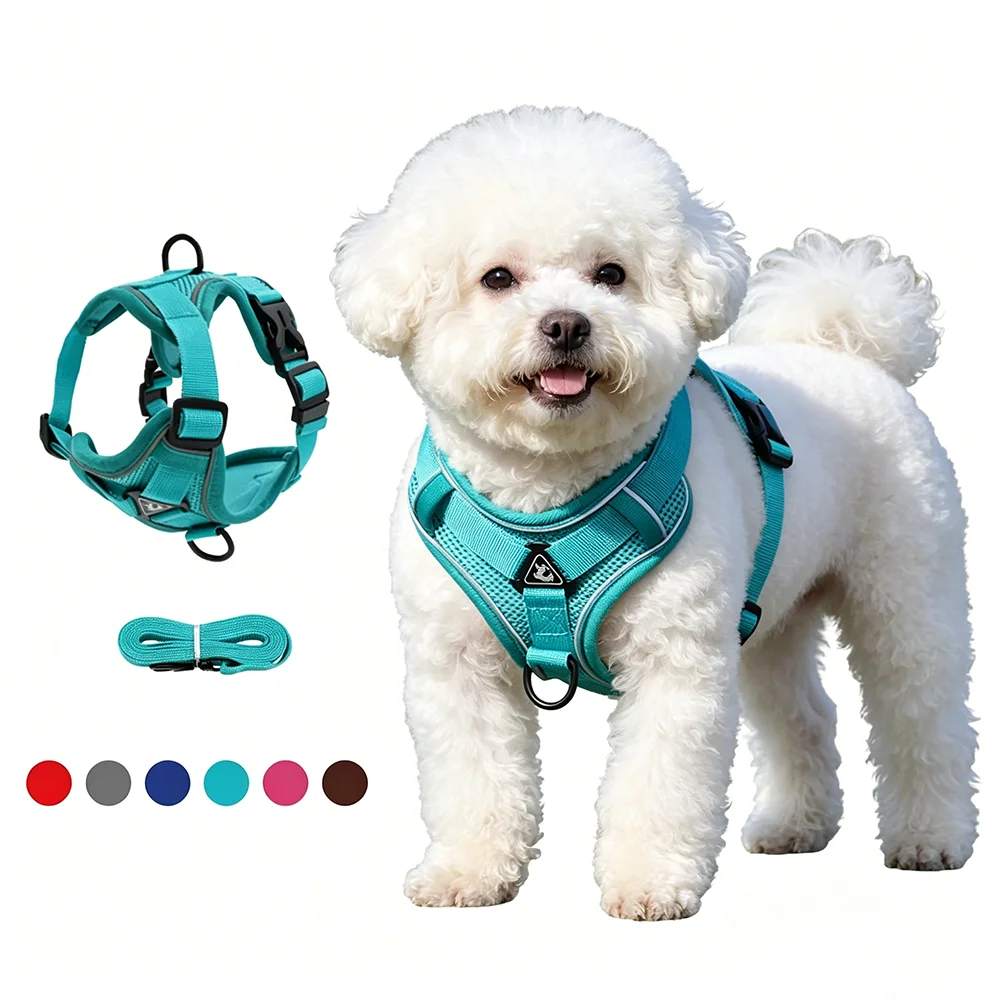kf-Sc3a9d2a33b5c47ef9e56031bbdf2b96ds No Pull Dog Harness and Leash Set Adjustable Pet Harness Vest for Small Dogs Cats Reflective Dog Chest Strap Lead Walking - Image 1
