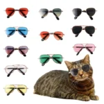 Cute Lovely Pet for Cat Toy Reflection Products Cat Dog Pet Glasses Photos Props - Image 6