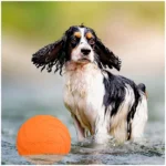 Interactive Silicone Flying Saucer Toy for Dogs And Cats Chew Resistant Flying Disc Pet Game Perfect for Puppy Training Fun - Image 5