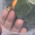 Nylon Plant Protection Netting Mesh Bag Cover for Fruit Vegetable Tree Strawberry Grapes Pest Control Anti-Bird Gardening Tools - Image 3