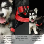 Pet Dog Cat Car Seat Dog Car Seat Belt Safety Protector Travel Pets Accessories Dog Leash Collar Breakaway Solid Car Harness - Image 3