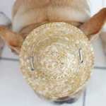 Cute Adjustable Pet Woven Hat Dog Decorative Hat Photo Prop Universal Dog Cat Sunshade Cap Run Straw Hat For Small Dog Puppy Cat - Image 6